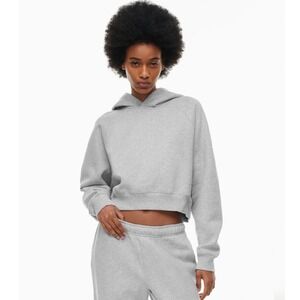 Aritzia Tna Sweatfleece Cozy Fleece Mega Fit Cropped Hoodie Grey 2XS